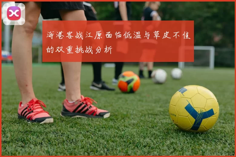 海港客战江原面临低温与草皮不佳的双重挑战分析
